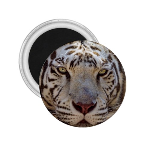 White Tiger 2 2.25  Magnet from ArtsNow.com Front