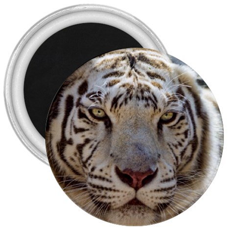 White Tiger 2 3  Magnet from ArtsNow.com Front