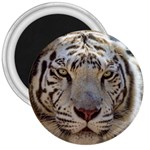 White Tiger 2 3  Magnet