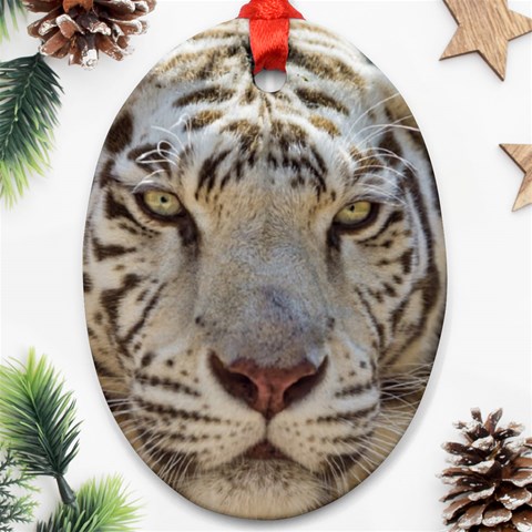 White Tiger 2 Ornament (Oval) from ArtsNow.com Front