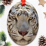 White Tiger 2 Ornament (Oval)