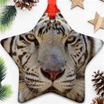 White Tiger 2 Ornament (Star)