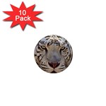 White Tiger 2 1  Mini Magnet (10 pack) 
