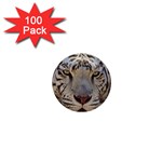 White Tiger 2 1  Mini Button (100 pack) 