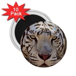 White Tiger 2 2.25  Magnet (10 pack)