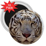 White Tiger 2 3  Magnet (10 pack)