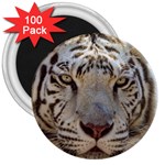 White Tiger 2 3  Magnet (100 pack)
