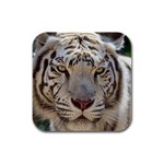 White Tiger 2 Rubber Square Coaster (4 pack)