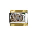 White Tiger 2 Gold Trim Italian Charm (9mm)