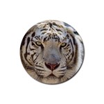 White Tiger 2 Rubber Coaster (Round)