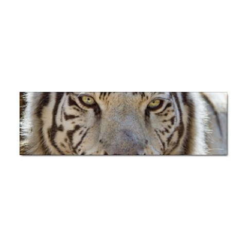 White Tiger 2 Sticker (Bumper) from ArtsNow.com Front
