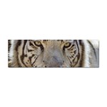 White Tiger 2 Sticker (Bumper)