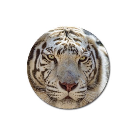 White Tiger 2 Magnet 3  (Round) from ArtsNow.com Front