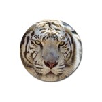 White Tiger 2 Magnet 3  (Round)
