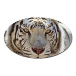 White Tiger 2 Magnet (Oval)