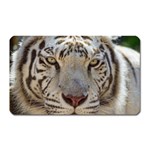 White Tiger 2 Magnet (Rectangular)