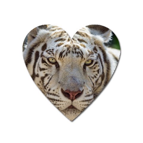 White Tiger 2 Magnet (Heart) from ArtsNow.com Front