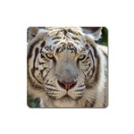 White Tiger 2 Magnet (Square)