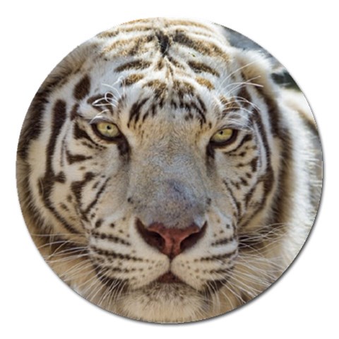White Tiger 2 Magnet 5  (Round) from ArtsNow.com Front
