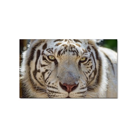 White Tiger 2 Sticker Rectangular (10 pack) from ArtsNow.com Front