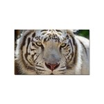 White Tiger 2 Sticker Rectangular (10 pack)