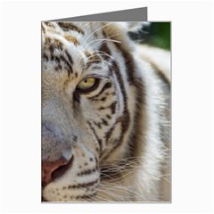 White Tiger 2 Greeting Card from ArtsNow.com Left