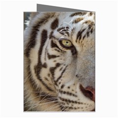 White Tiger 2 Greeting Card from ArtsNow.com Right