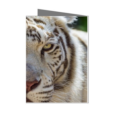 White Tiger 2 Mini Greeting Cards (Pkg of 8) from ArtsNow.com Left