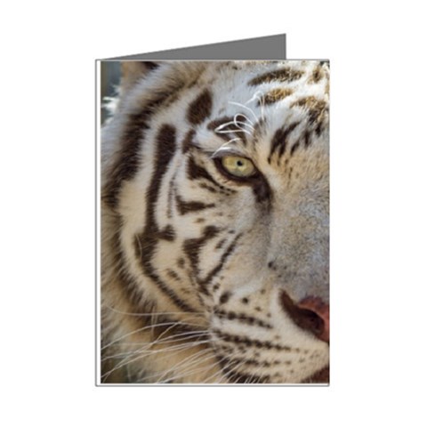 White Tiger 2 Mini Greeting Cards (Pkg of 8) from ArtsNow.com Right
