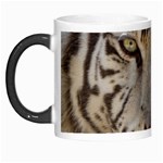 White Tiger 2 Morph Mug