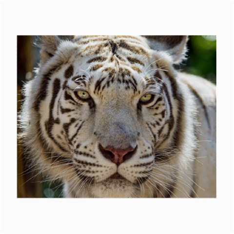White Tiger 2 Small Glasses Cloth from ArtsNow.com Front