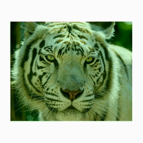 White Tiger 2 Small Glasses Cloth from ArtsNow.com Front