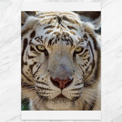 White Tiger 2 Canvas 12  x 18  from ArtsNow.com 11.88 x17.36  Canvas - 1