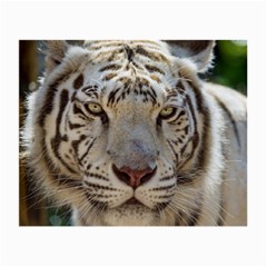 White Tiger 2 Small Glasses Cloth (2 Sides) from ArtsNow.com Back