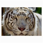 White Tiger 2 Large Glasses Cloth