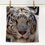 White Tiger 2 Face Towel