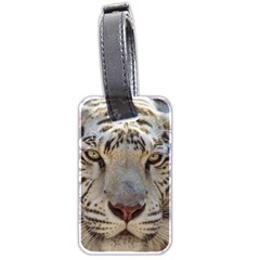 White Tiger 2 Luggage Tag (two sides) from ArtsNow.com Front