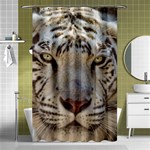 White Tiger 2 Shower Curtain 48  x 72  (Small)