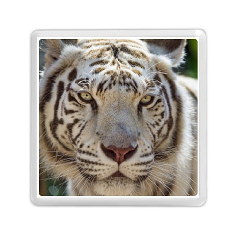White Tiger 2 Memory Card Reader (Square) from ArtsNow.com Front