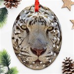 White Tiger 2 Ornament (Oval Filigree)