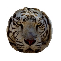 White Tiger 2 Standard 15  Premium Round Cushion  from ArtsNow.com Back