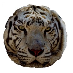 White Tiger 2 Large 18  Premium Round Cushion  from ArtsNow.com Back