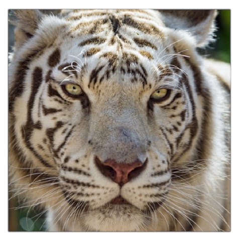 White Tiger 2 Large Satin Scarf (Square) from ArtsNow.com Front