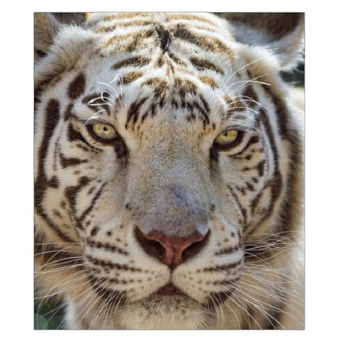 White Tiger 2 Duvet Cover Double Side (California King Size) from ArtsNow.com Front
