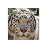 White Tiger 2 Satin Bandana Scarf