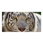 White Tiger 2 Satin Shawl
