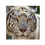 White Tiger 2 Small Satin Scarf (Square)