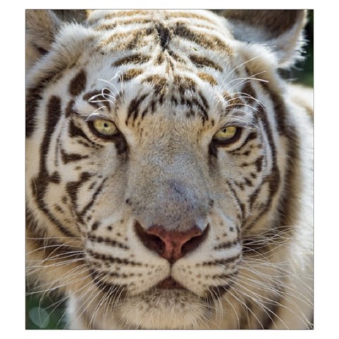 White Tiger 2 Drawstring Pouch (XXL) from ArtsNow.com Back