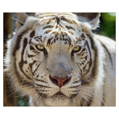 White Tiger 2 Medium Tote Bag from ArtsNow.com Front