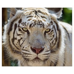 White Tiger 2 Medium Tote Bag from ArtsNow.com Back